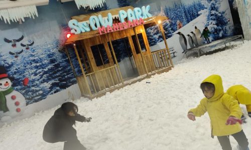 IMG-20250315-WA0041 - Copy (2)