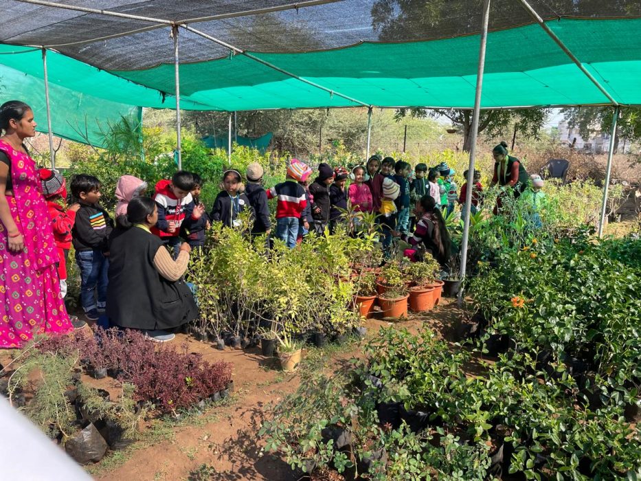 WhatsApp Image 2024-11-09 at 13.01.47_53d5f488